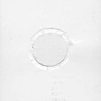 Polansky Art Conceptual - Circle, 1980, paper, 87 x 125 mm